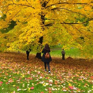 Meet your Posher, Anahi